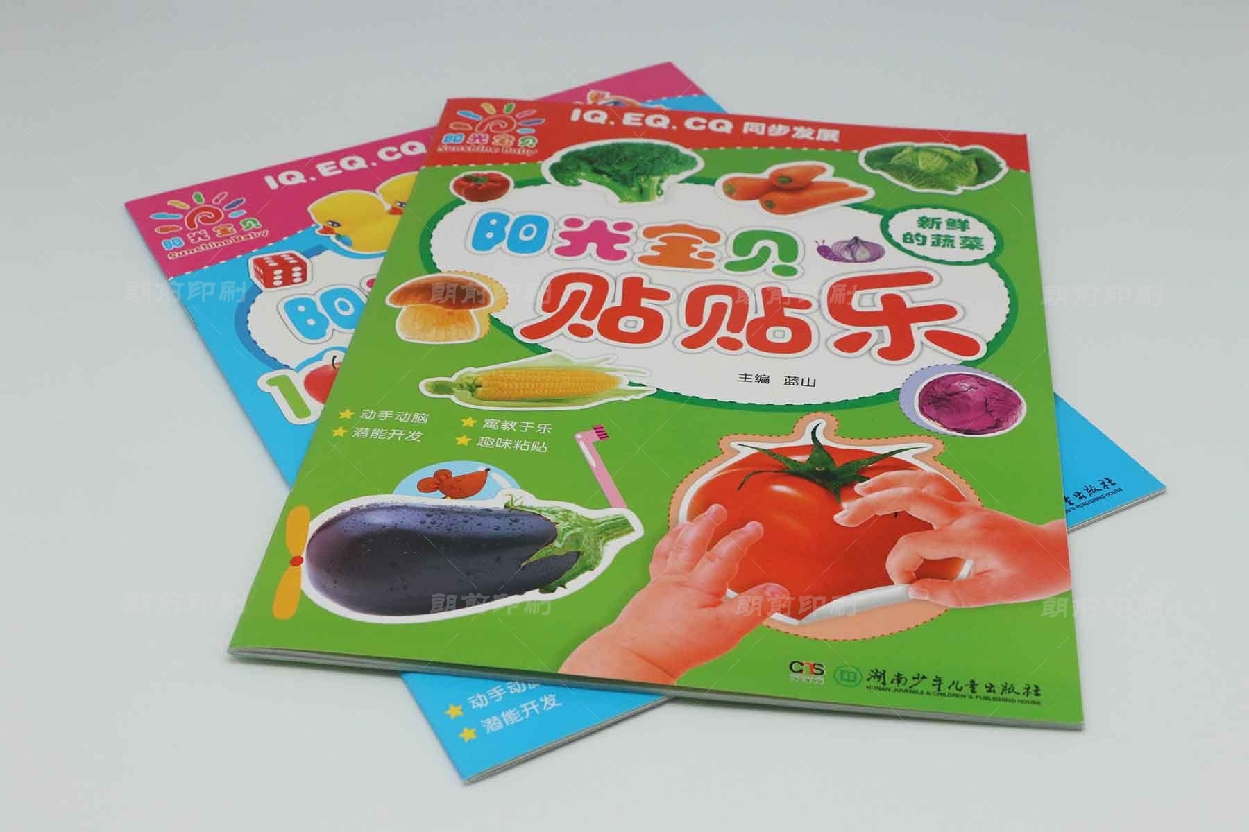 廣州印刷畫冊(cè)一天能印多少 廣州印刷畫冊(cè)生產(chǎn)廠家