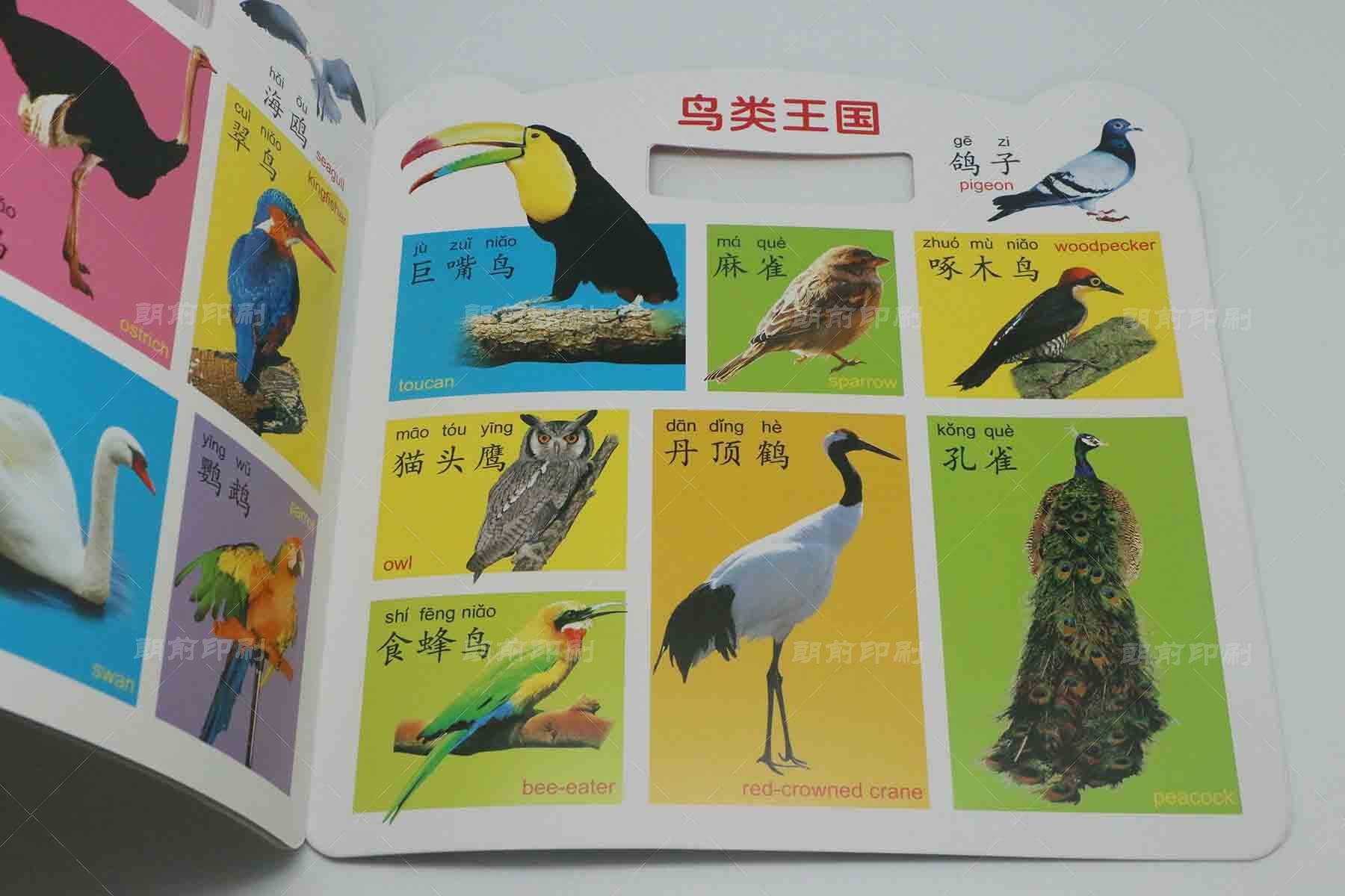 廣州畫冊印刷報(bào)價(jià) 廣州a4畫冊印刷尺寸是多少